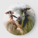 Search for ewe art Cute