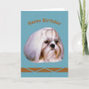 Search for shih tzu cards Animals