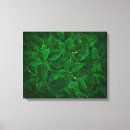 Search for natural canvas prints Botanical