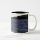 Search for lavender field mugs France