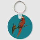Search for red parrot key rings Pattern