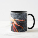 Search for crustacean mugs Coastal