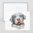 Search for pitbull cards Thinking of you