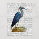 Search for vintage heron postcards Antique