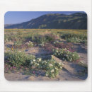 Search for land electronics White