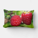 Search for red berries cushions Fruit