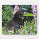 Search for swallowtail mousepads Nature