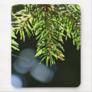 Search for pine needle mousepads Forest