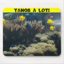 Search for undersea electronics Ocean