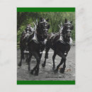 Search for draught postcards Percheron