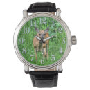 Search for wildlife watches Deer