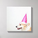 Search for corgi decor Birthday