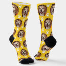Search for yellow socks Pet lover