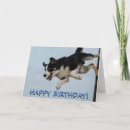 Search for border collie humor cards Cute