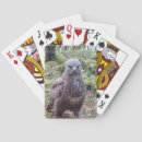 Search for attitude photography Wildlife
