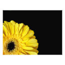 Search for orange gerbera art Floral