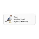 Search for gulls return address labels Beach