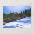 Search for oregon trail postcards Forest