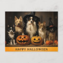 Search for witch pumpkin postcards Cute