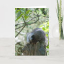Search for stump cards Cute