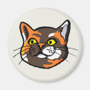 Search for tortoiseshell magnets Kitten