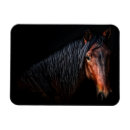 Search for portraits magnets Horse