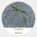 Search for mantis stickers Praying