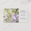 Search for closeup business cards Pink