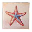 Search for beach nautical 4x4 tiles Modern