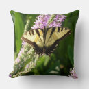 Search for purple butterfly cushions Photography