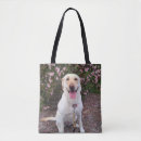 Search for grin bags Cute
