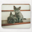 Search for innocent mousepads Kitty