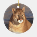 Search for cougar christmas tree decorations Mountain lion