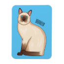 Search for siamese magnets Thailand