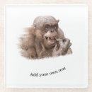 Search for chimp coasters Primate