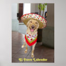 Search for perro Funny