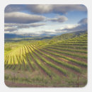 Search for napa valley stickers Vineyard