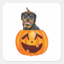 Search for rottweil stickers Rottie
