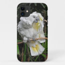 Search for cockatoos electronics Nature