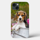 Search for cute beagle iphone cases Puppy