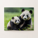 Search for panda bear puzzles White