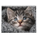 Search for aesthetic calendars Cat lover