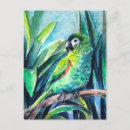 Search for macaw parrot postcards Parrots