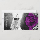 Search for whites photocards Classic