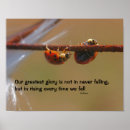 Search for ladybug quotes Inspirational