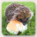 Search for hedgehogs coasters Cute