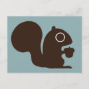 Search for nut with squirrel postcards Animals