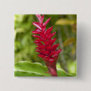 Search for fiji badges Tropical