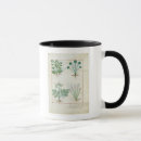 Search for bush mugs Plant