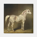 Search for horse stable magnets Equestrian